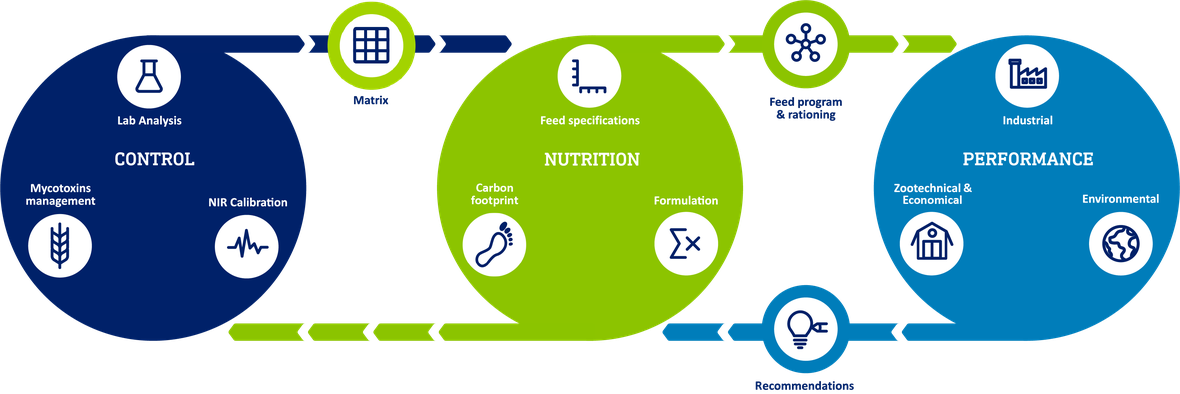 SINCRO wheel how control nutrition and performance connect.