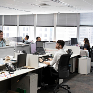Employees in cubicles