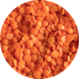 dry coral lentils