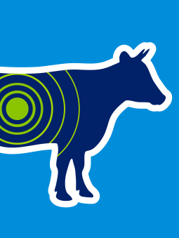 ADM DigestCarb Product, ADM Animal Nutrition