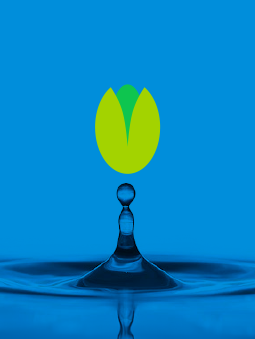 ADM Plant Sterol, ADM Animal Nutrition