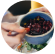 Beans Pulses
