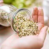 A hand holding a jar of hemp seeds