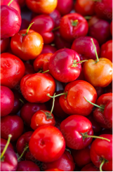 A close-up of a pile of red cherries