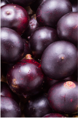 A close-up of a pile of plum fruits.