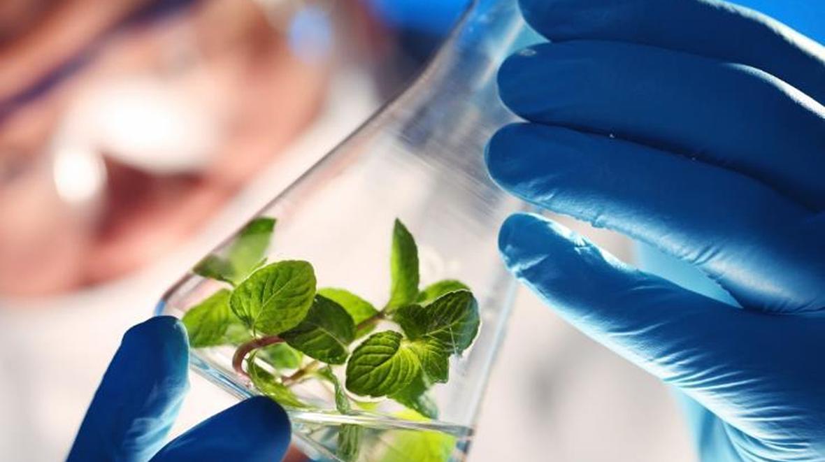 A close-up of someone inspecting the contents of a beaker