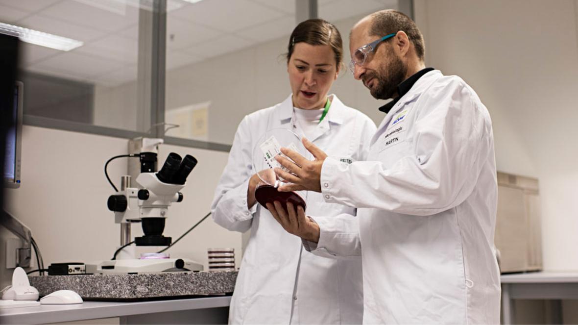 Two scientists in a lab