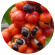 red coffee beans