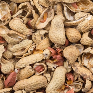 Closeup of peanut hulls