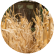 seedwest