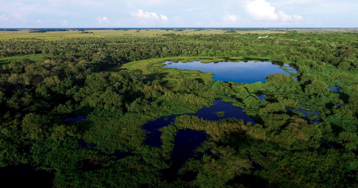 Aerial view of a lush wetland ecosystem in Mato Grosso, Brazil, showing dense green forest and marsh vegetation interwoven with dark blue lakes and winding waterways, illuminated by soft morning light.