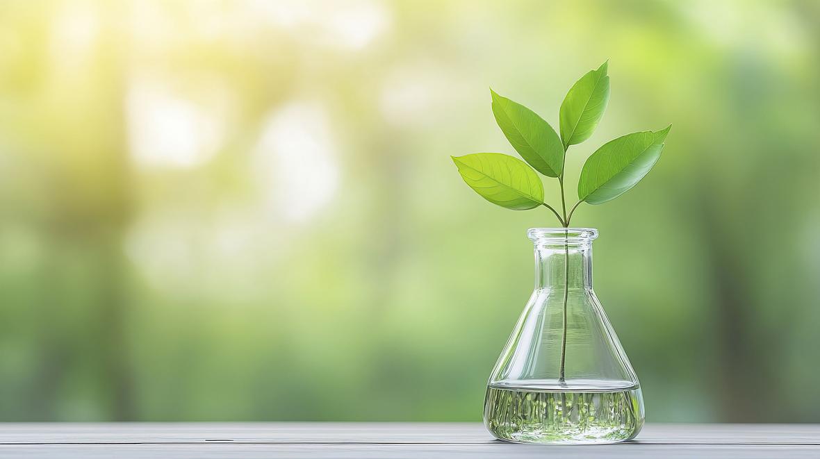 A sprig of green leaves in a small glass beaker filled part of the way with water