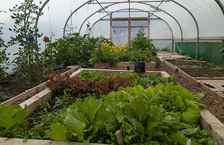 ADM Cares Jamie's Farm