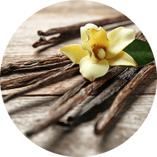 Vanilla sticks and a vanilla flower placed on a table