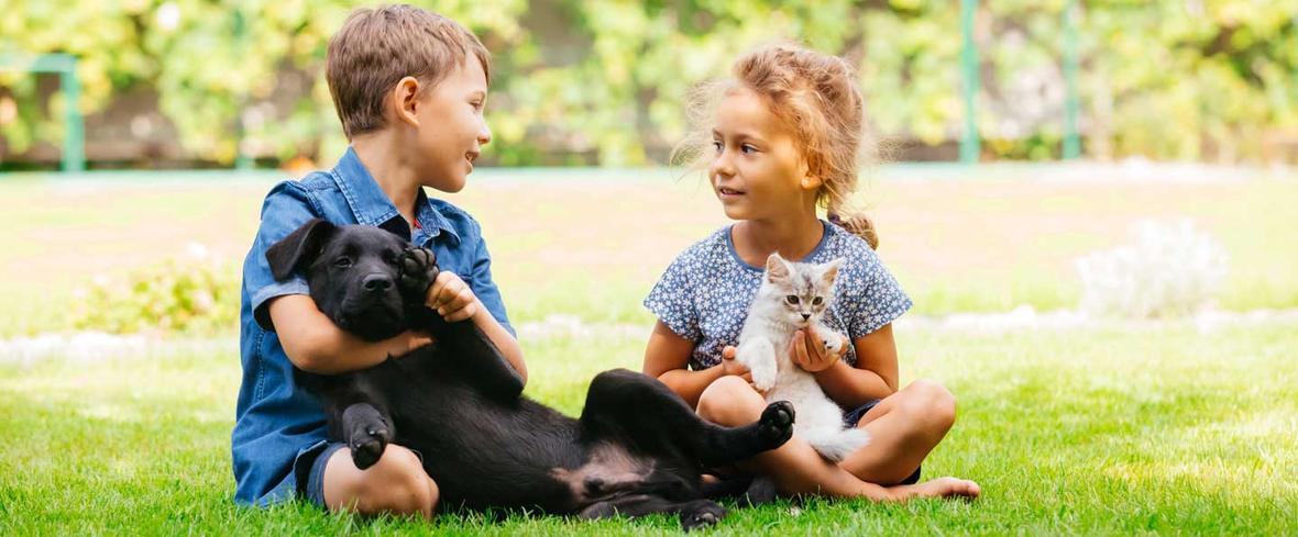 kids playing with a dog