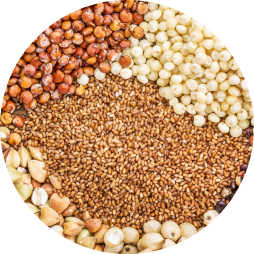 spices