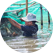 worker in an aquaculture farm