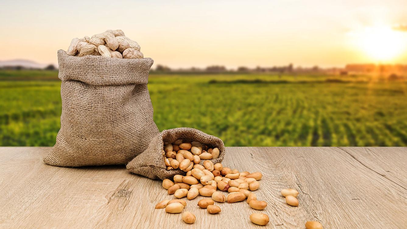 A bag of peanuts and peanuts on a table