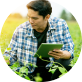 man in green field with tablet