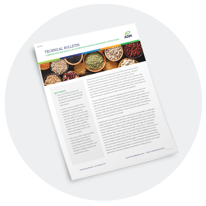 plant based WP 3d